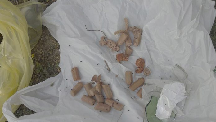 Perritos quedan malheridos al ingerir alimentos con clavos y vidrios