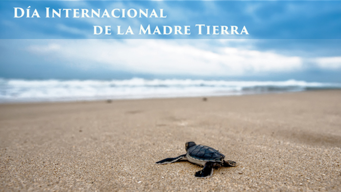 Más de 100 países celebran a la Madre Tierra