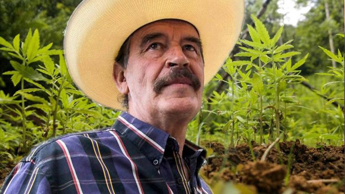 Captan a Vicente Fox vaporizando lo que parece ser marihuana
