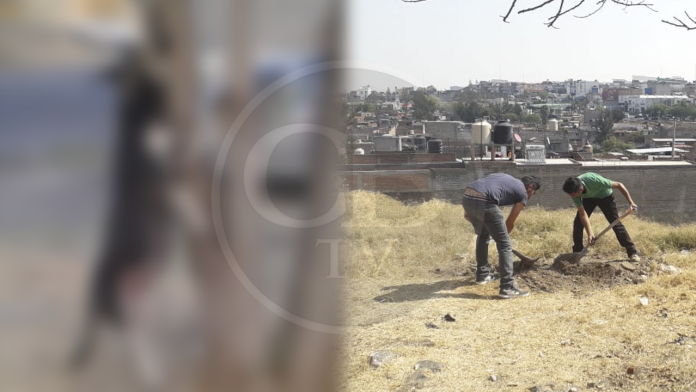 VIDEO: Cuelgan a perrita embarazada de un árbol al norte de Morelia
