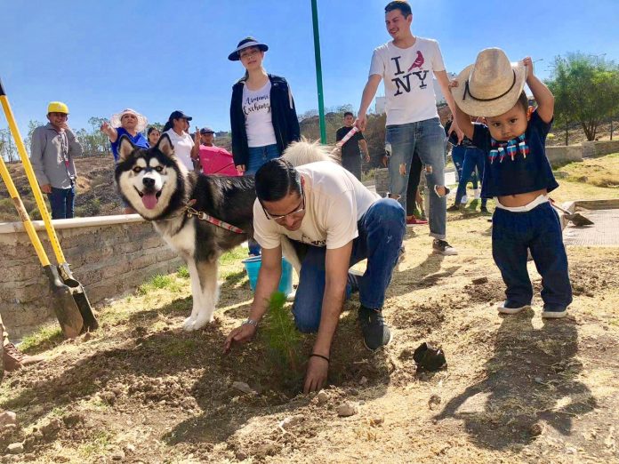 Se requiere además de plantar un árbol, que lo cuidemos: Villegas Soto