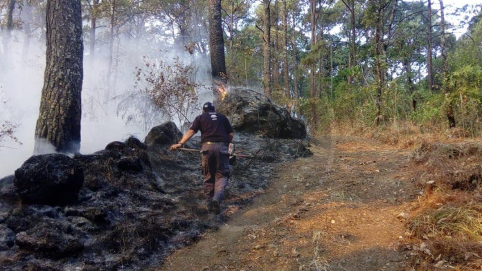Sofocan incendio en Parque Nacional de Uruapan