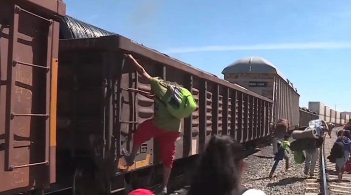 Video: Momento en que migrante cae de “La Bestia” y pierde una pierna