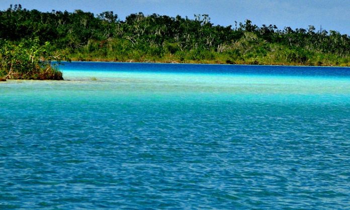 Contaminación está haciendo que la Laguna de Balacar pierda sus colores