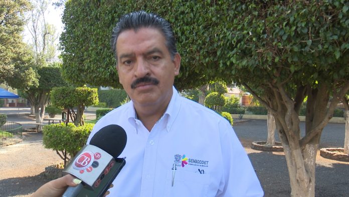 Continúan operativos para desmantelar aguacate ilegal: Semaccdet