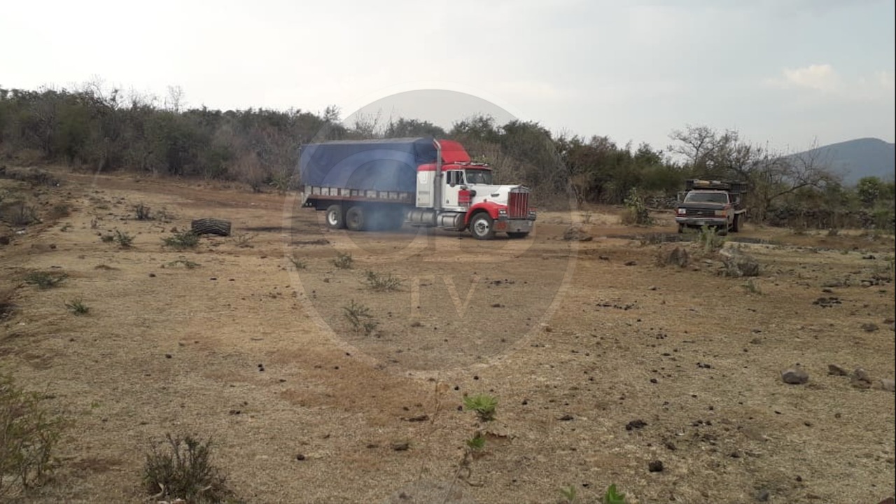 Detienen a 8 por tala clandestina, entre ellos un menor Detienen a 8 por tala clandestina, entre ellos un menor