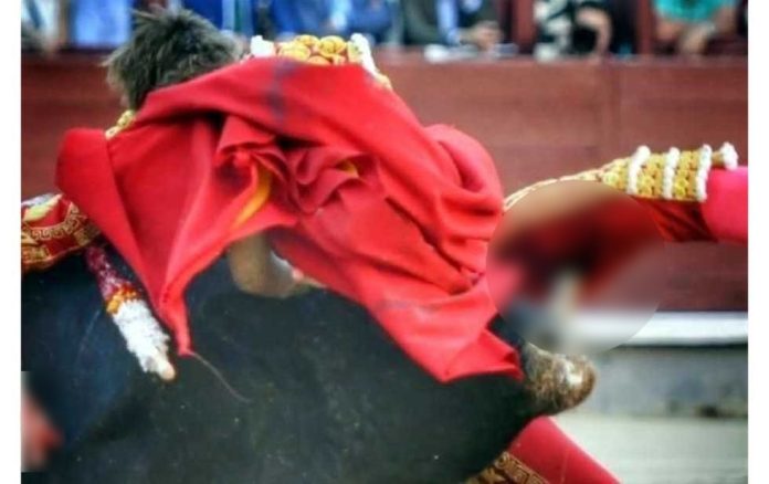 Video: Torero recibe impresionante cornada