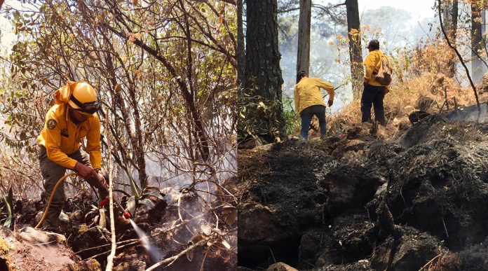 Más de 100 brigadistas trabajaron para controlar incendio en área de montaña del Parque Nacional