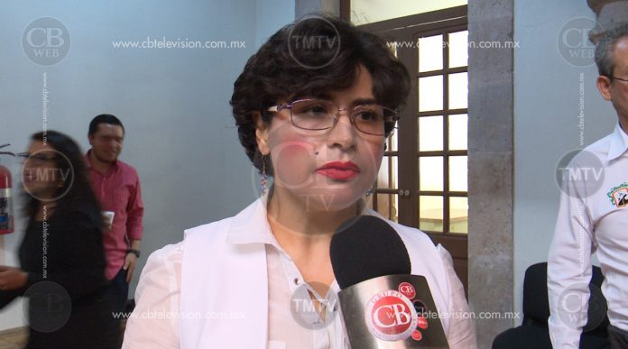 Se continuara modificando la Reforma Laboral: Anita Sánchez Castro