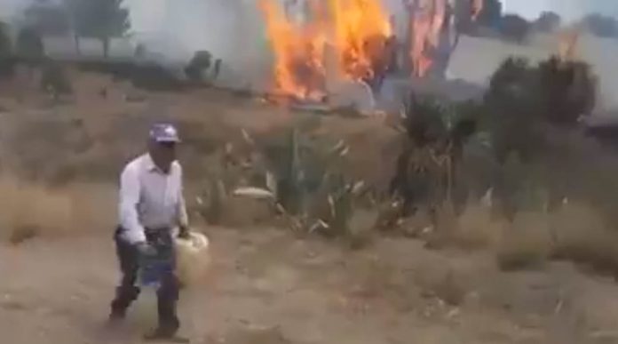Video: Hombre quema árboles con gasolina porque dice que son suyos