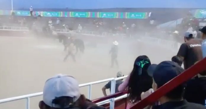 VIDEO: Toro destripando a caballo en la Expo Fiesta causa indignación
