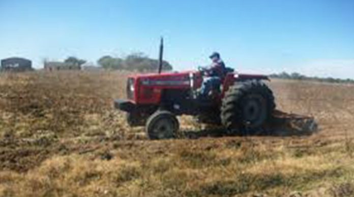 Jóvenes roban tractor de agricultor y destruyen su cultivo en Chilchota