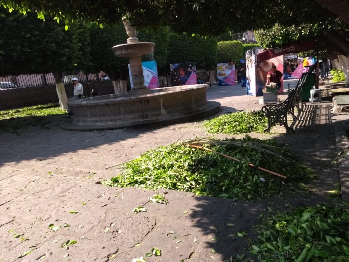 Entre montones de basura, Morelia en víspera de su aniversario