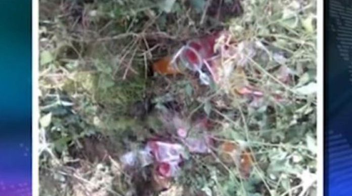 Niña salió a vender gelatinas, pero ya no regresó, fue encontrada muerta debajo de un montículo de piedras