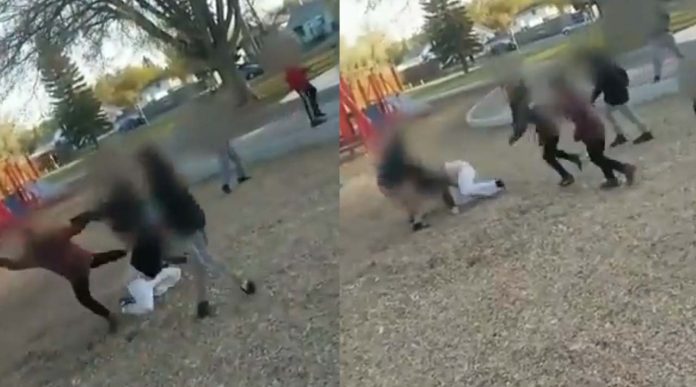Niños golpean brutalmente a una mujer que los regañó por aventarle piedras a un anciano