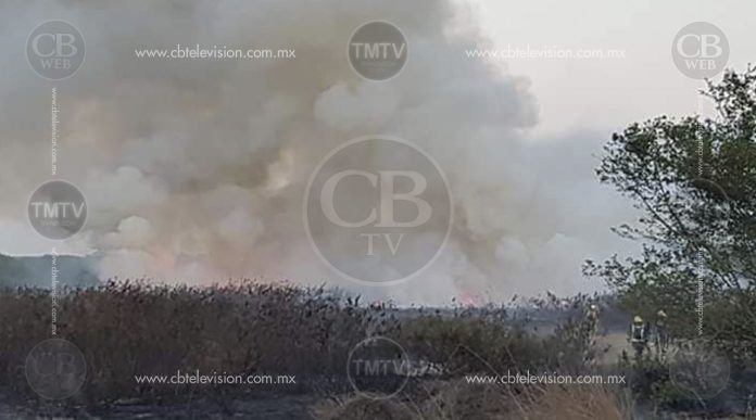 Incendio afecta 20 hectáreas mangle y pantano en Lázaro Cárdenas