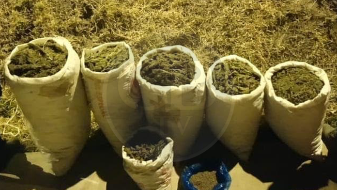 Aseguran Policía Michoacán y Ejército más de 50 kilos de marihuana