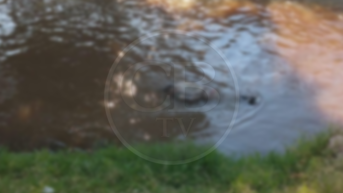 Localizan hombre maniatado al interior de un río de San Juanito Itzícuaro