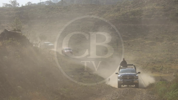 Desactivan en Zacapu dos huertas ilegales de aguacate