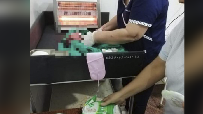 Muere recién nacida por picaduras de hormigas tras ser abandonada en el monte