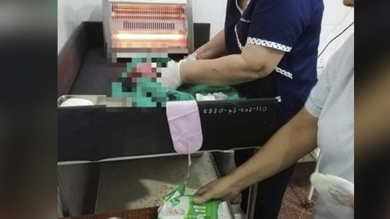 Muere recién nacida por picaduras de hormigas tras ser abandonada en el monte Muere recién nacida por picaduras de hormigas tras ser abandonada en el monte