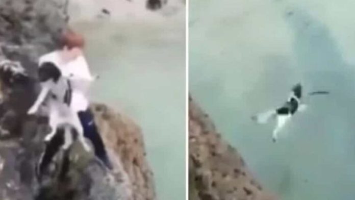 Causa indignación video de joven arrojando a un perro por un acantilado