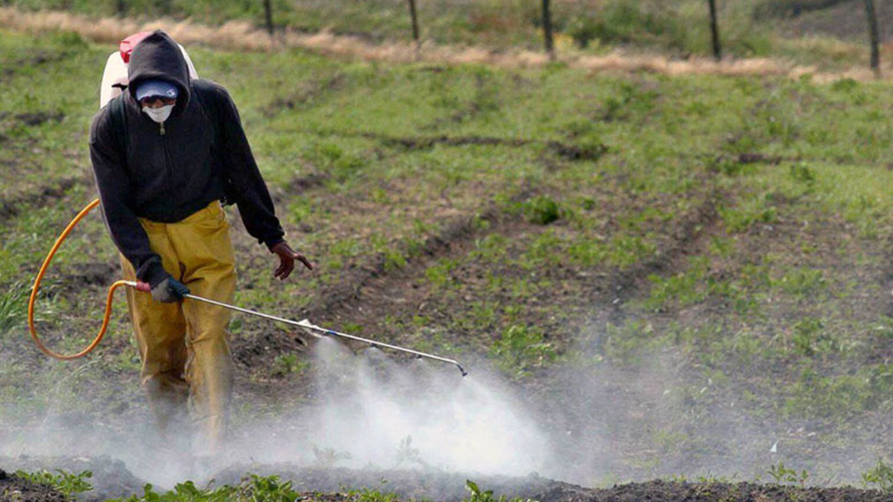 Formaliza Gobierno Federal integración de Grupo Intersecretarial para Regulación sobre Plaguicidas Formaliza Gobierno Federal integración de Grupo Intersecretarial para Regulación sobre Plaguicidas
