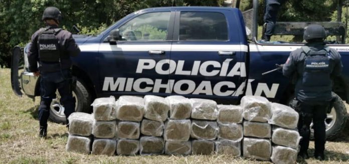 Decomisa SSP 130 kilos de marihuana en Zitácuaro