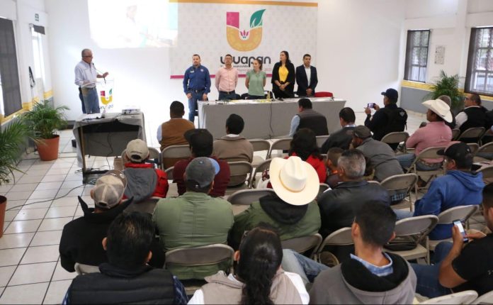 Impulsa Gobierno Municipal actividad ganadera de Uruapan