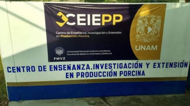 Grupo armado irrumpe en escuela de la UNAM y asaltan a estudiantes Grupo armado irrumpe en escuela de la UNAM y asaltan a estudiantes