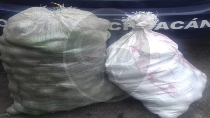 Detienen a dos hombres con aguacate de procedencia ilícita