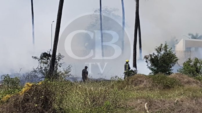 Se incendia área verde de la UMSNH