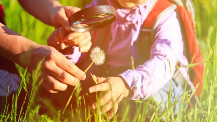 Estar en contacto con la naturaleza beneficia la salud mental