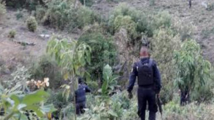 Policías y gatilleros protagonizan balacera entre Ziracuaretiro y Tingambato