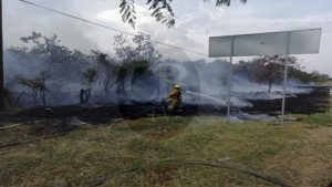Bomberos combaten incendio a un costado de carretera