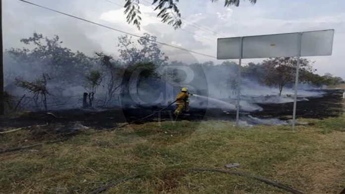 Bomberos combaten incendio a un costado de carretera