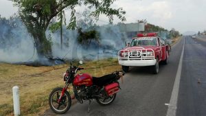 Bomberos combaten incendio a un costado de carretera