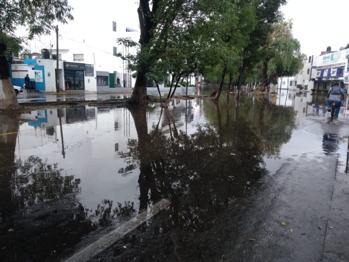 Afectaciones por inundación a los vecinos de la colonia empleados Vecinos de la colonia del empleado, a un costado del Boulevard García de León se quejan ante los diversos problemas que se originan a causa de las lluvias, pues después de la tormenta suscitada en la madrugada de este martes, la zona quedó bajo el agua Los residentes del lugar expresaron su descontento, debido a la elevación del agua que provocaron las lluvias, además de que muchos automovilistas circulaban rápido y formaban olas de gran tamaño, originando que el agua se extendiera hasta sus hogares y negocios, en el cual tuvieron que tomar acciones inmediatas para no permitir que ingresaran estas corrientes. “Cuando nosotros nos venimos a esta colonia, no se inundaba así, pero ahorita es un problema, a cada rato siempre que llueve se inunda, si llueve todos los días pues imagínese”, señaló una vecina. “No pues ya nos tocó, pues ya ni modo, estamos bien qué es lo principal”, Dueño de un vehículo varado. Algunos automotores quedaron varados a mitad de la calle, quienes tuvieron que llamar a grúas particulares, así mismo los vecinos aseguraron que la ciudadanía debería tomar conciencia de la basura que generan, a mantener limpia las calles y a las autoridades a realizar una mejor planificación de prevenciones contra inundaciones. “Todos deberíamos aprender a no tirar basura, recogerla, pero aquí la verdad casi no… porque también deberían de darle los encargados más mantenimiento y que no se tapen las coladeras”, afirmó una residente. “Se les olvidó tomar en cuenta el desazolve, por que llegaron, levantaron la tapa de la alcantarilla y empezó a desahogarse, entonces se ven que están tapadas desde abajo, porque nada más era de quitarla, pero se veía que no se iba, fue hasta que le movieron que empezó a retirarse toda el agua”, mencionó el dueño del vehículo afectado. Hacen el llamado correspondiente a las autoridades, tomar en cuenta esta zona afectada, ya que reside a un costado del Boulevard, donde los encharcamientos cada vez son de mayor magnitud, además de estar preparados para las siguientes tormentas en la ciudad