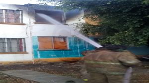 Se incendia vivienda abandonada, bombero rescata valientemente a un perro a pesar de mordida