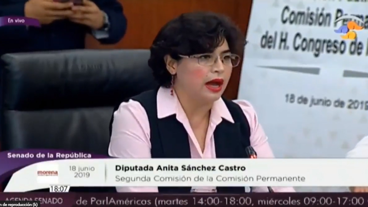 "La Secretaria de Salud arrastra infinidad de procesos administrativos"; Anita Sánchez "La Secretaria de Salud arrastra infinidad de procesos administrativos"; Anita Sánchez