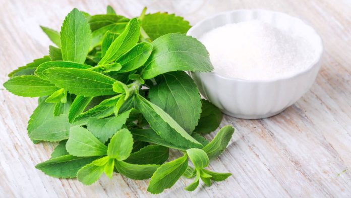 La Stevia es 200 veces más dulce que el azúcar