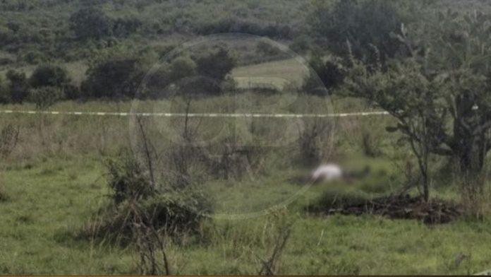 Encuentran a un hombre asesinado a balazos en Morelia