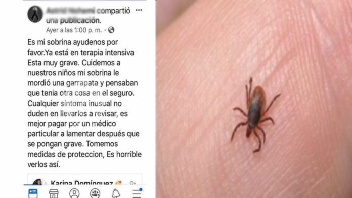 Muere niña de 4 años por mordedura de garrapata