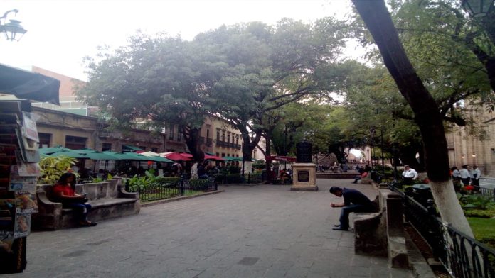 Locatarios del Jardín de las Rosas se quejan de inseguridad