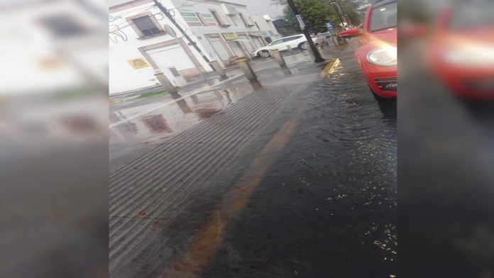Escasa cultura vial y solidaridad por parte de los conductores hacia los peatones