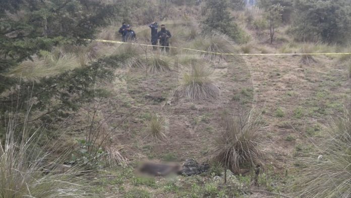 Hallan tres hombres ejecutados en Paracho