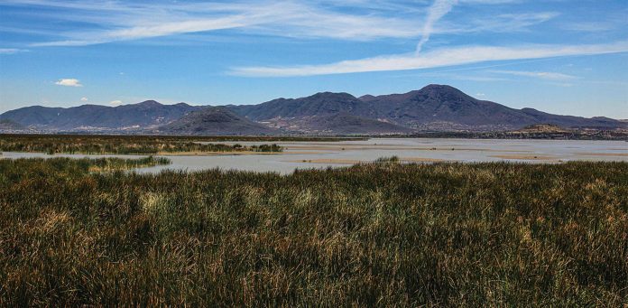 Sin medidas de prevención para evitar extinción del Lago de Cuitzeo: alcalde