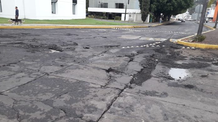En completo descuido la avenida Enrique Ramírez