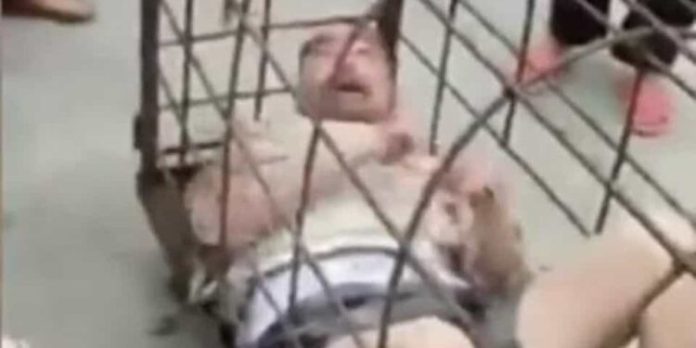 Encierra a su pareja en una jaula por haberle sido infiel