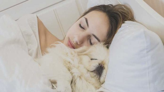 Estudio revela que las mujeres duermen mejor al lado de un perro que de un hombre